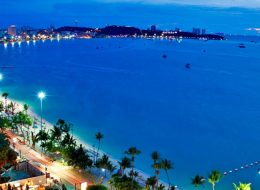 Al-Bida Travels is one of the best companies in Qatar which can provide all travel services with flexible and effective solutions